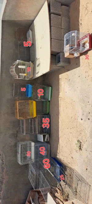 قفاص للبيع