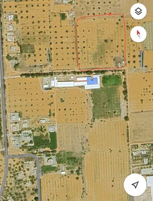 Farm Land for Sale in Qasr Al-Akhiar Other