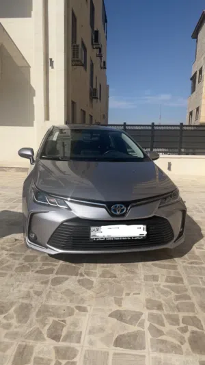 Used Toyota Corolla in Amman