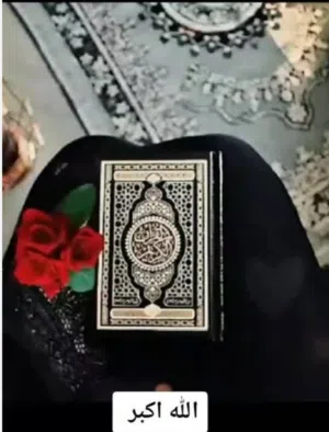 نغم سلامه سرحان 