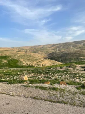 قطعة استثمارية ذات إطلالة غربية مميزة في قرية المشقر