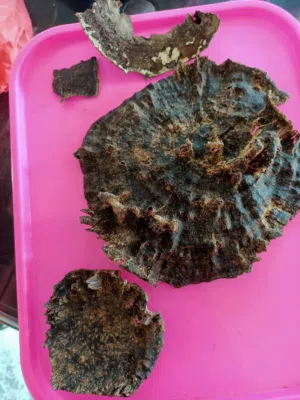 Hindi oud vvip (هندي جار بي بي اي بي)