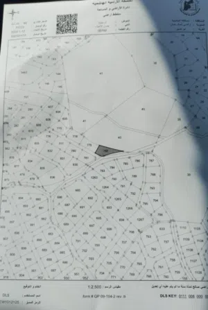 Residential Land for Sale in Amman Abu Nsair