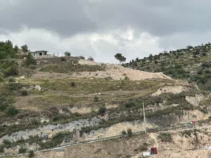 Mixed Use Land for Sale in Ajloun Other