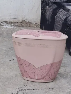 خزان نقيرا مرحاض فرنجي  Naqira tank, French toilet