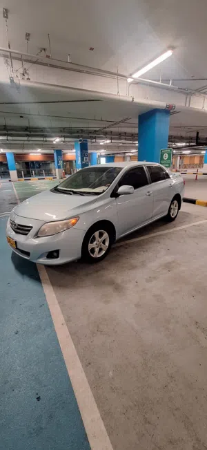 Used Toyota Corolla in Muscat