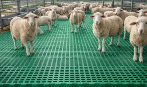 أقوى أرضيات غنم مثقبة في السوق  – نظافة دائمة للحظيرة وراحة للقطيع!