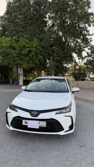 Used Toyota Corolla in Northern Governorate