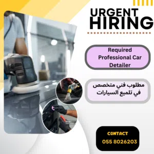 Hiring professional detailer