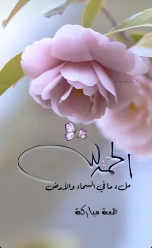 ابو عامر 