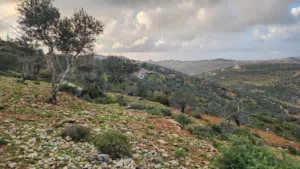 كوبر / أرض للبيع من المالك