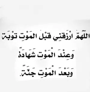 أنس الفطيسي 