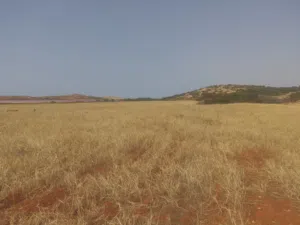 ارض للبيع بالحنية