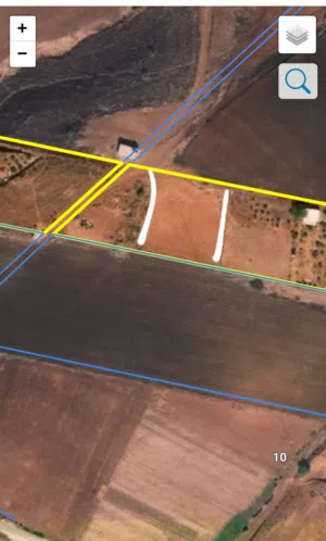 أرض مساحة 1 دونم في النصارية حوض 31 قطعة 8 العنق مفروزة فرز رضائي