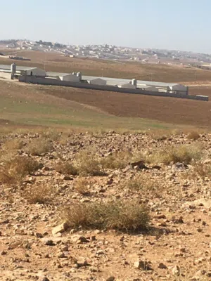 Mixed Use Land for Sale in Mafraq Um Al-Lulu