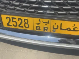 رقم مميز ورمزين مختلفين بسعر 300