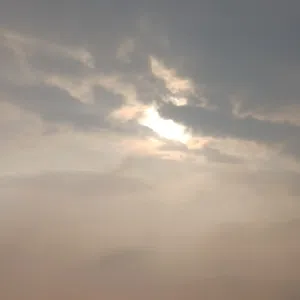 ابحث عن غرفة للايجار بالجليب