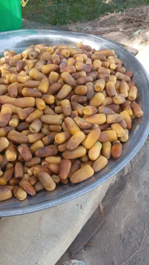 1 kg. 1 om sale