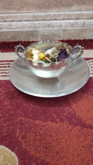 حدائق ومنازل