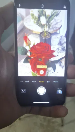 Apple iPhone X 256 GB in Tripoli