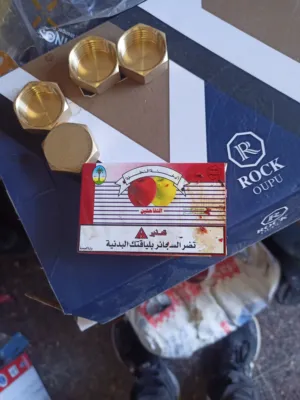 نور محمود يوسف صلاح 