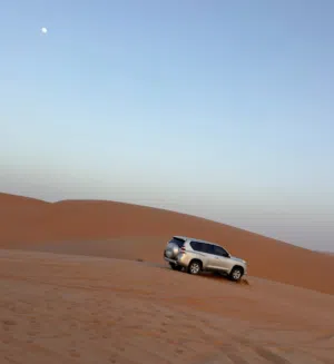 Airport transfers and sightseeing tours توصيل من والى المطار وجولات سياحية