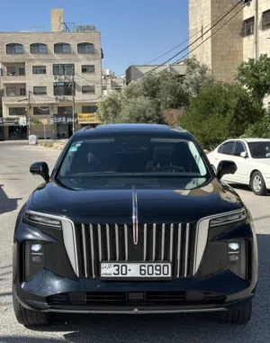 Hongqi E-HS9 2021