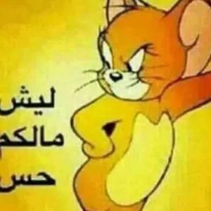ام عصام 