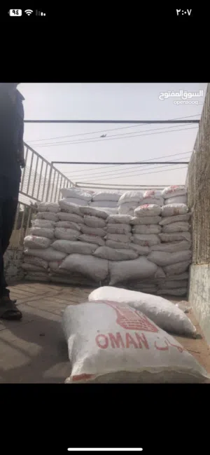 جواني سح نفيعه للحلال نضيف وانتاج الموسم