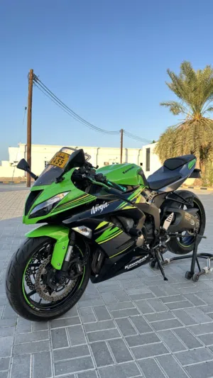 Kawasaki Ninja 2018 ZX6R KRT