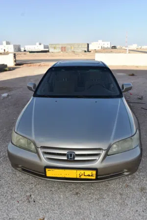 Used Honda Accord in Muscat