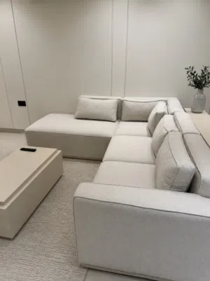 Brand New Sofa
