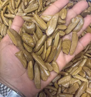 عود موروكي طبيعي محسن فاخر بأقل الأسعار