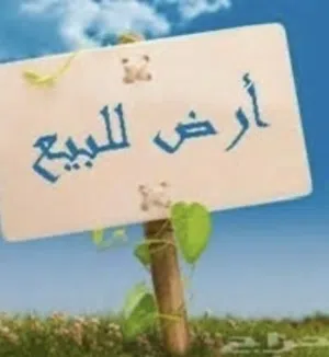ارض  350 م  واجهتين على الطريق المعبد