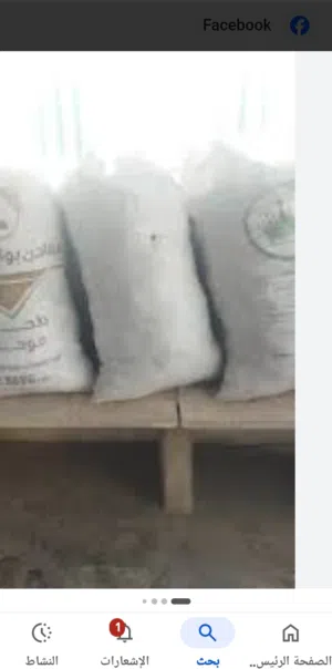 خبز ناشف للبيع
