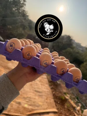 عرض على البيض المخصب طول شهر رمضان المبارك