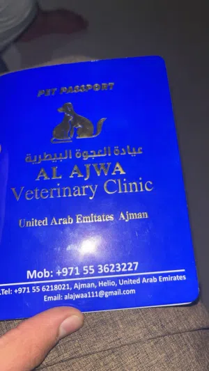 كلب  للبيع1900