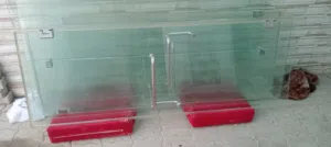 glass(PVC) door for sale