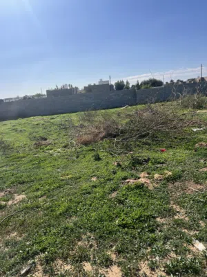 Residential . 2000 m20