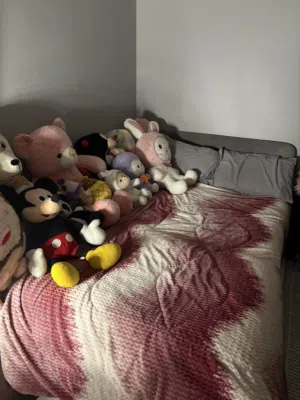 Used IKEA bed good as new