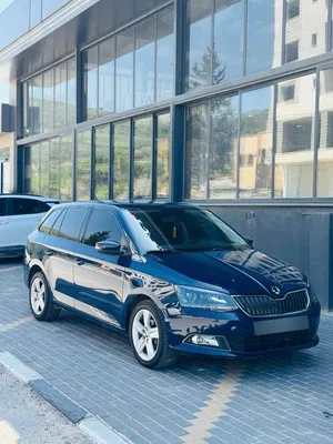 used-skoda-fabia-in-tulkarm