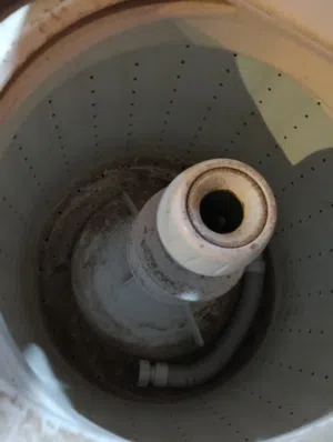 spinner for sale