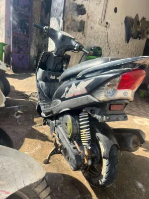 ماكس عدله بلاديه