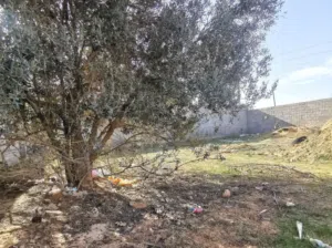 قطعة أرض سكنية ممتازة 355م والواجهة 17م في تاجوراء بالقرب من تقاطع الكهرباء وفيها بئر ماء وفسكية وشج
