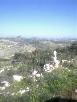 أرض دونم للبيع في قرية كور