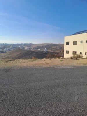 Residential Land for Sale in Amman Shafa Badran