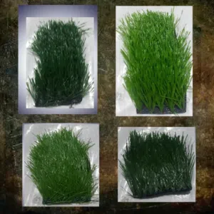 بناء عشب لمدارس و ملاعب ومنازل وحدائق