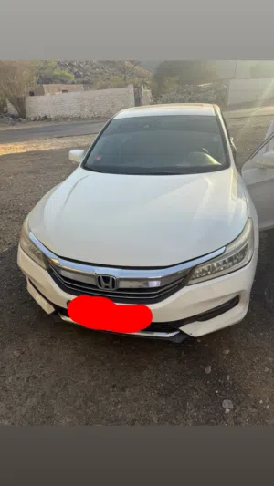 Used Honda Accord in Musandam