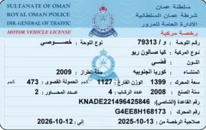 كيا ريو 2009