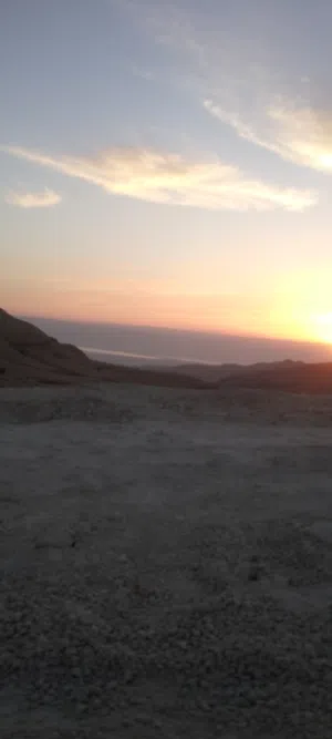 ابو امير 